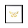 تابلو طلاکوب زرکات طرح پروانه مدل Butterfly