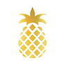 تابلو طلا کوب زرکات طرح آناناس مدل pineapple