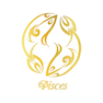 تابلو طلاکوب زرکات طرح سمبل ماه تولد اسفند مدل pisces